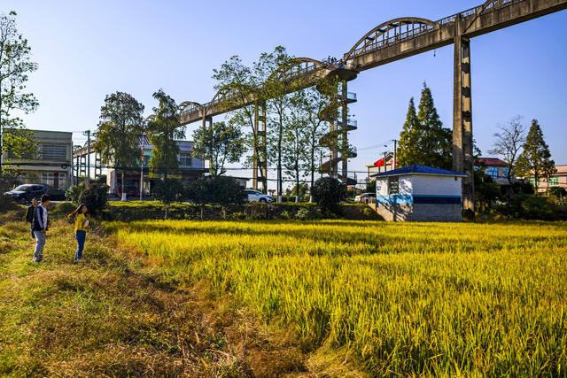 栅栏 楼梯扶手 郊外高架桥 天空 田地