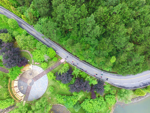 农村路  乡村公路  四好农村路  长沙