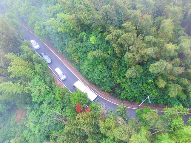 农村路  乡村公路  四好农村路  长沙