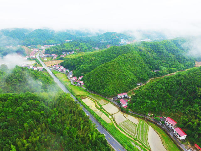 农村路  乡村公路  四好农村路  长沙