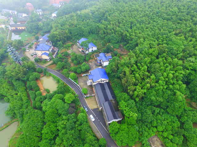 农村路  乡村公路  四好农村路  长沙