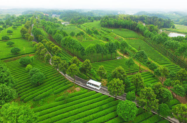 农村路  乡村公路  四好农村路  长沙