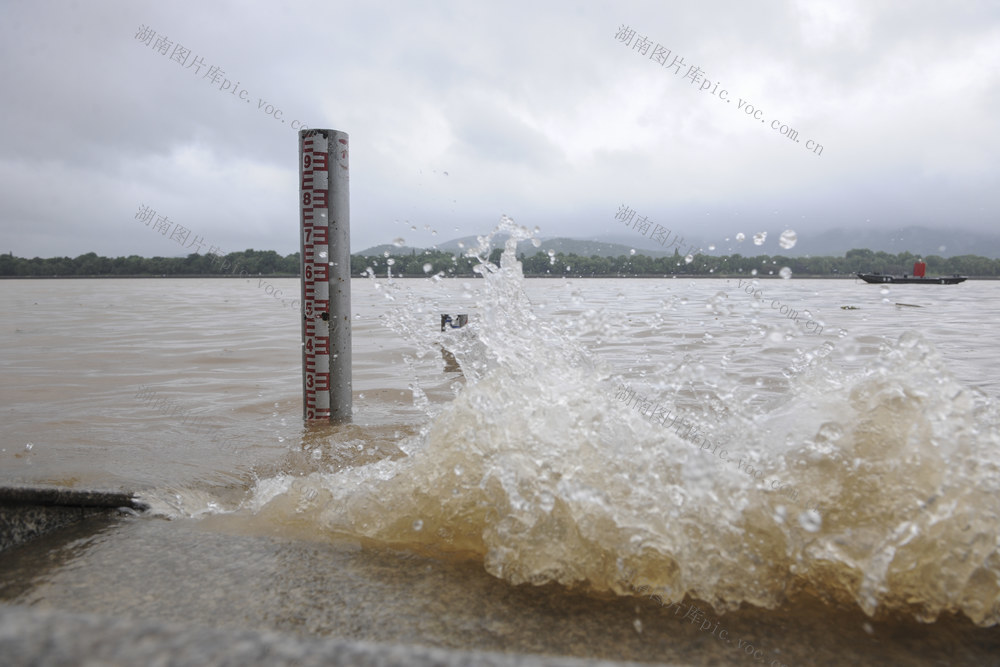 洪水 水位 湘江 文津渡口 警戒水位