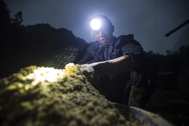坚守大山深处的牧羊人