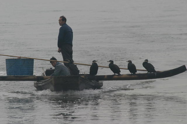 鄱阳湖渔家