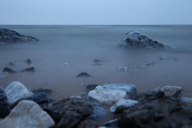 湖 鸟