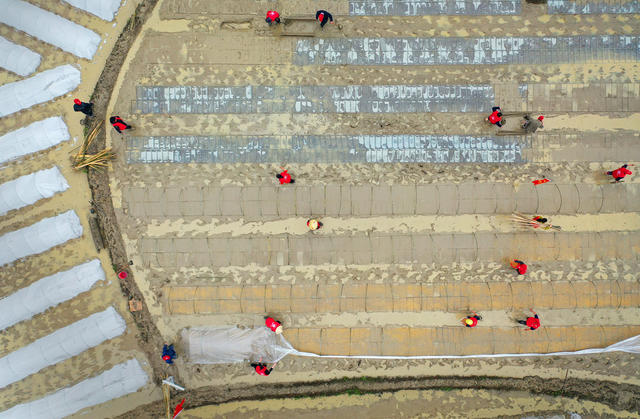 志愿者服务春耕