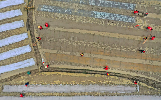 志愿者服务春耕