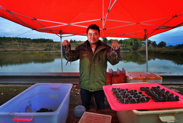 返乡创业的青春8090