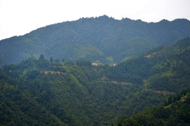大山里的无掌恩师