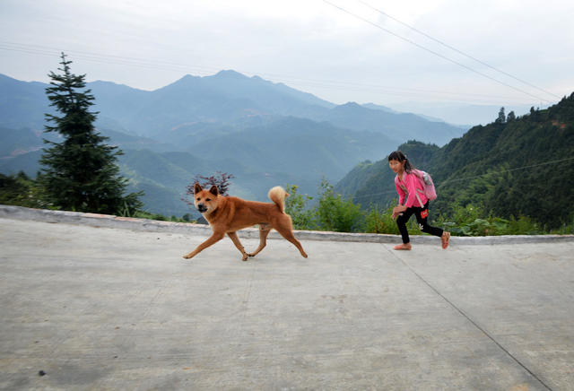 大山里的无掌恩师