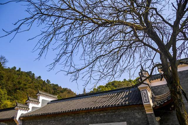 天空 建筑 旗杆 宫殿 寺庙 尖桩篱栅 树林 瓦屋顶