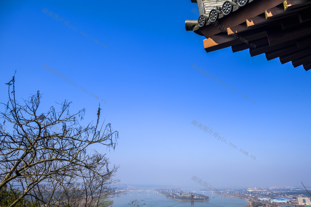 天空 建筑 旗杆 宫殿 寺庙 尖桩篱栅 树林 瓦屋顶