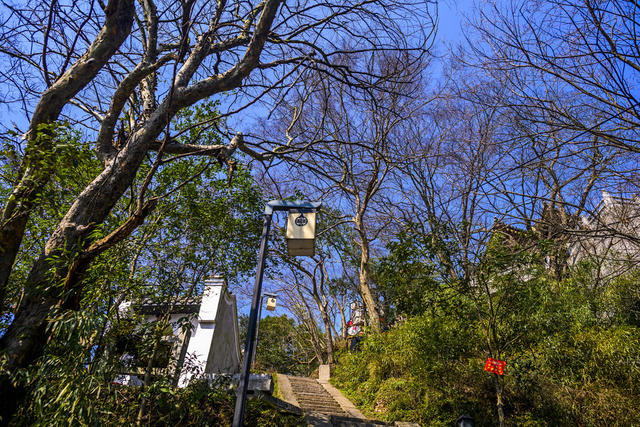 天空 建筑 旗杆 宫殿 寺庙 尖桩篱栅 树林 瓦屋顶