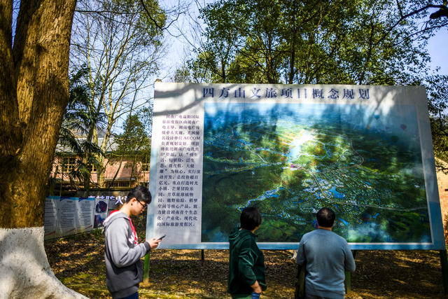 楼梯 户外 栅栏 树林 石头墙 工地 庭院 尖桩篱栅