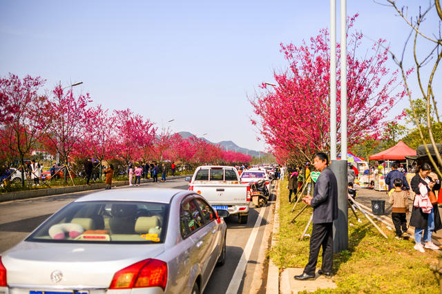 汽车 花 合影 田地 油菜花田 户外 植物