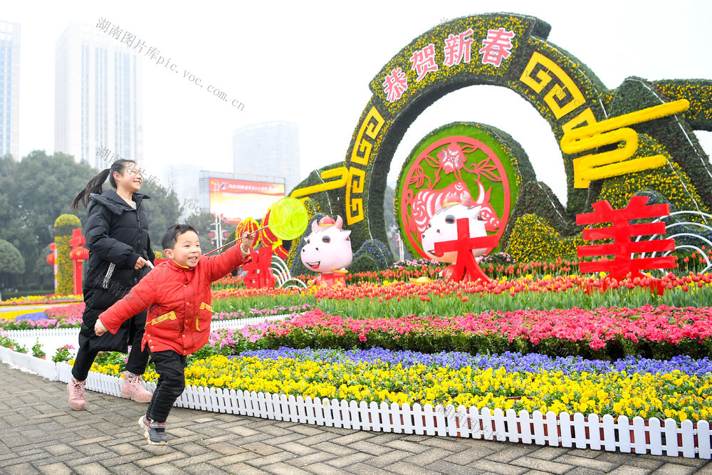 长沙县  花团锦簇 花坛  喜迎新春