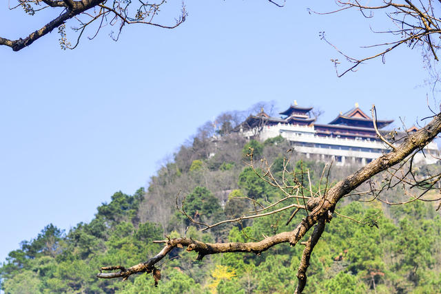 天空 建筑 旗杆 宫殿 寺庙 尖桩篱栅 树林 瓦屋顶