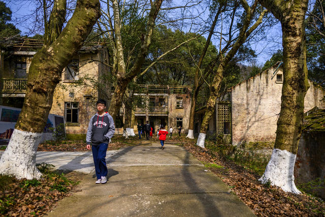 楼梯 户外 栅栏 树林 石头墙 工地 庭院 尖桩篱栅