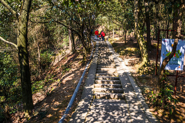 天空 建筑 旗杆 宫殿 寺庙 尖桩篱栅 树林 瓦屋顶