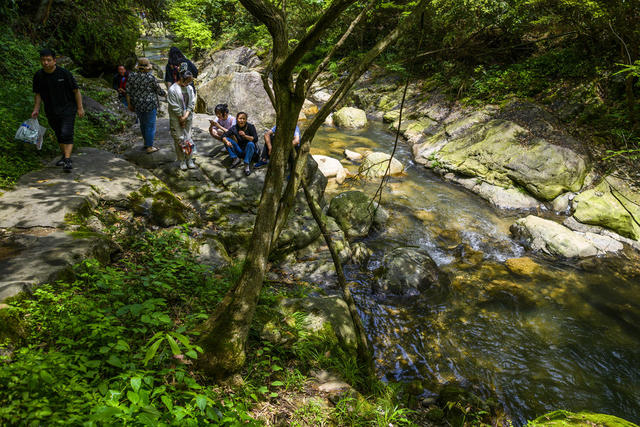 树林 山谷 岩石 小河 瀑布 户外 悬崖 运动 巨石