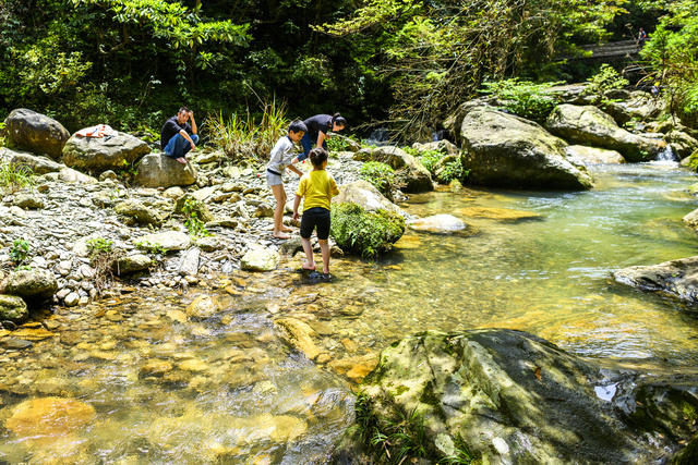 树林 山谷 岩石 小河 瀑布 户外 悬崖 运动 巨石