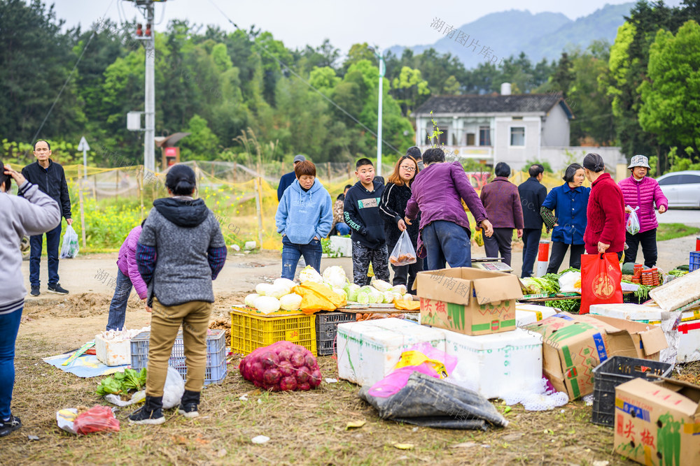 帐篷 户外 草地 老人 篮子 水桶 小巴士