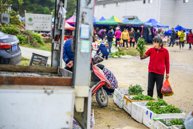 帐篷 户外 草地 老人 篮子 水桶 小巴士