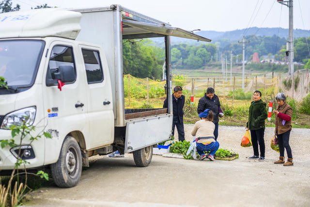 帐篷 户外 草地 老人 篮子 水桶 小巴士