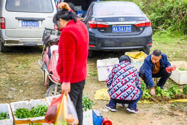 帐篷 户外 草地 老人 篮子 水桶 小巴士