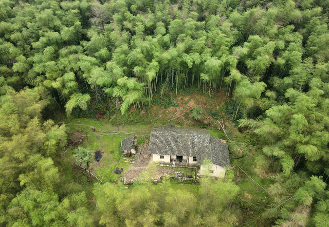 华容战地医院