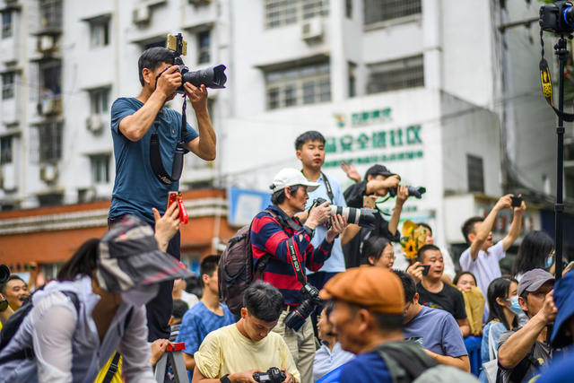 户外 演出 美女 儿童 运动 合影 学生 手机 其他 军装