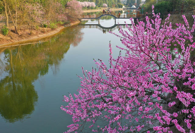 小河  春 游客