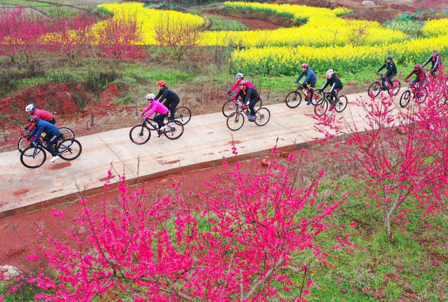 田地 户外 油菜花田  骑行春天 绿道