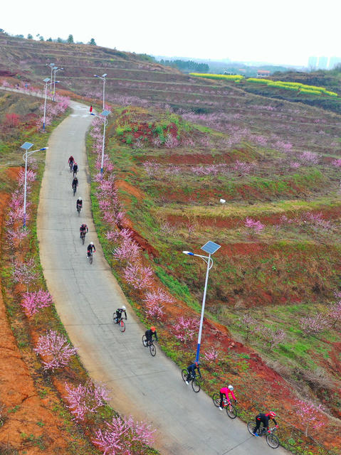 田地 户外 油菜花田  骑行春天 绿道