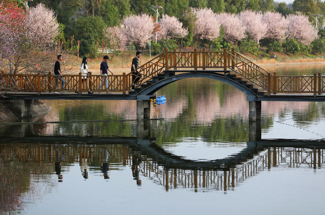 小河  春 游客