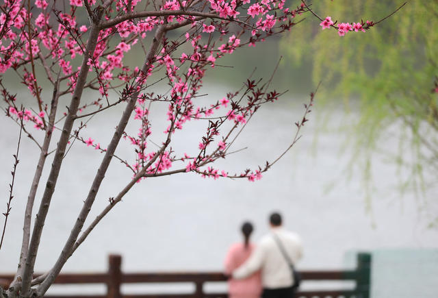 踏青  户外