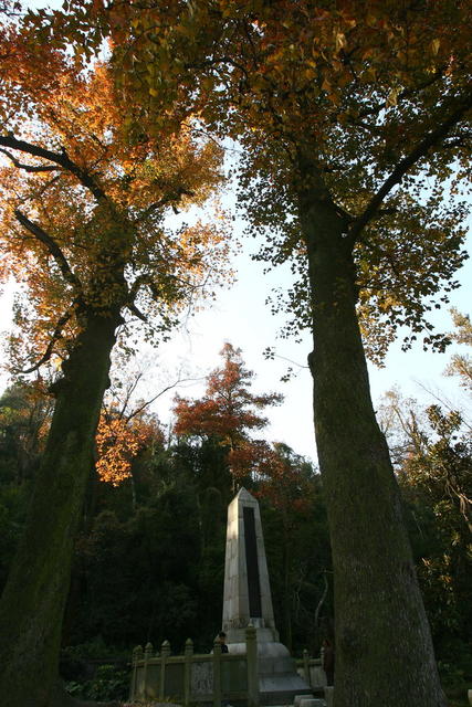 墓
