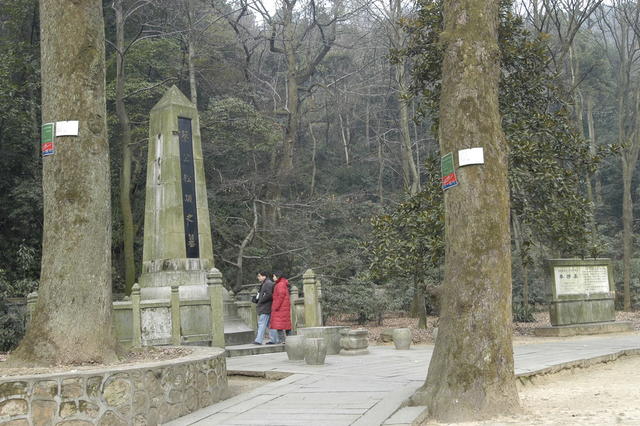 墓