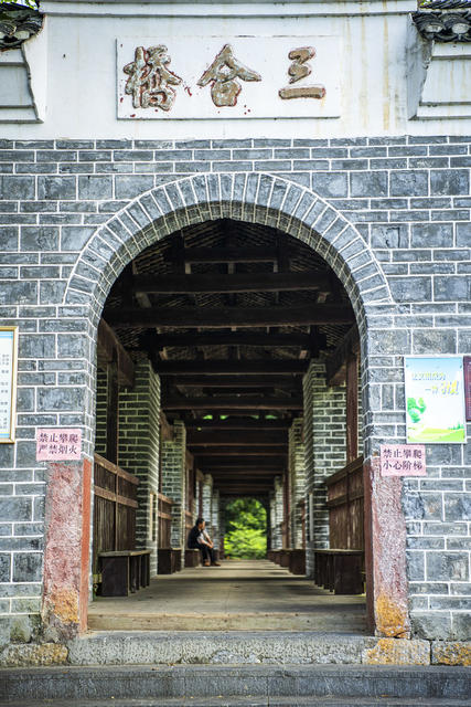 建筑 室外 楼梯 老人 拱顶 吊桥