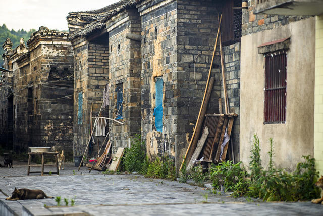 街道  街景 茅草屋 桶 谷仓 建筑 天空 石头墙 城堡 尖桩篱栅 室外 垃圾箱 拐杖 草地 植物
