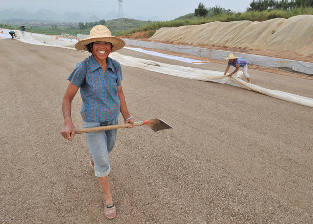 高速公路 宁道高速 工地 建设 农民工 公路 高架桥