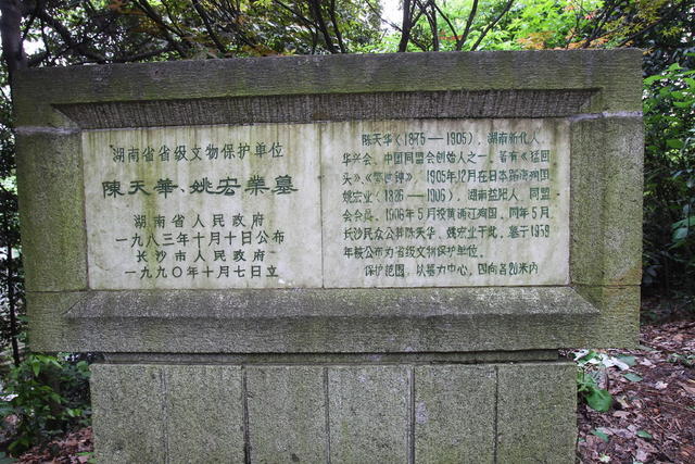 墓