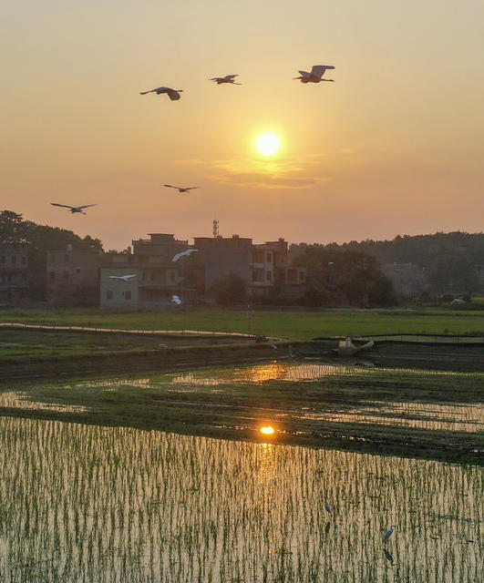 田地 日出
