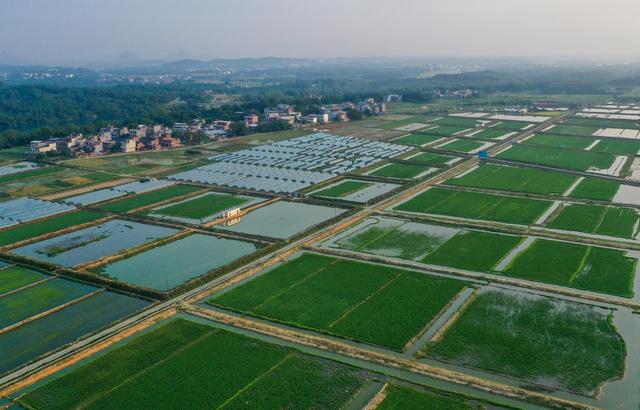 田地 日出