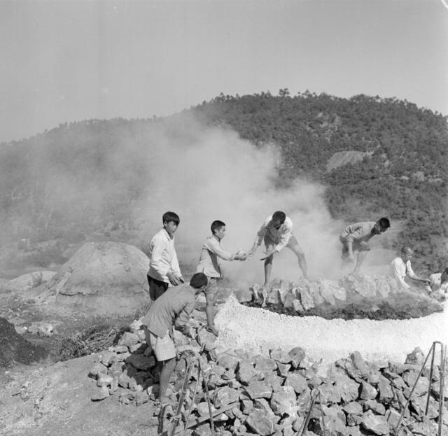 赶着 春蚕 鹅 其他 户外 田地 草地