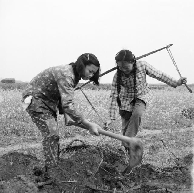  Women open up cotton fields outdoors