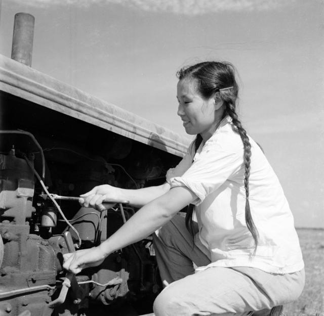 农场 田地 其他 马车 拖拉机 电影 鸭群 鹅群