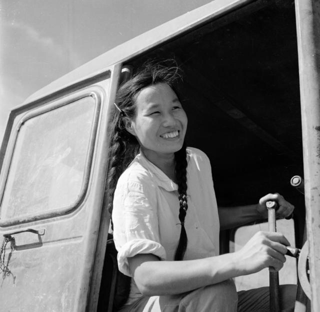 农场 田地 其他 马车 拖拉机 电影 鸭群 鹅群