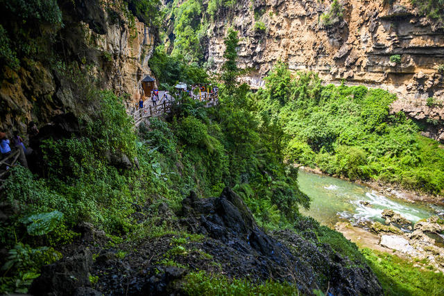 山谷 瀑布 树林 悬崖 植物 山峰 户外 小河 洞穴